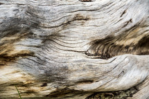 driftwood texture 