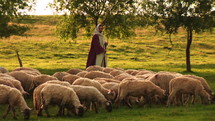 Illustration of Psalm 23. Jesus the Good Shepherd with a flock of sheep.