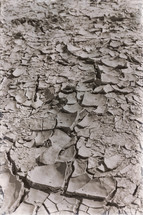 cracked clay earth 