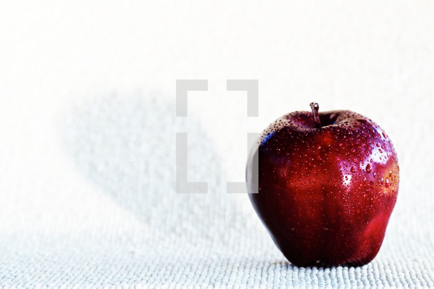A red apple with waterdrops isolated on a while textured background