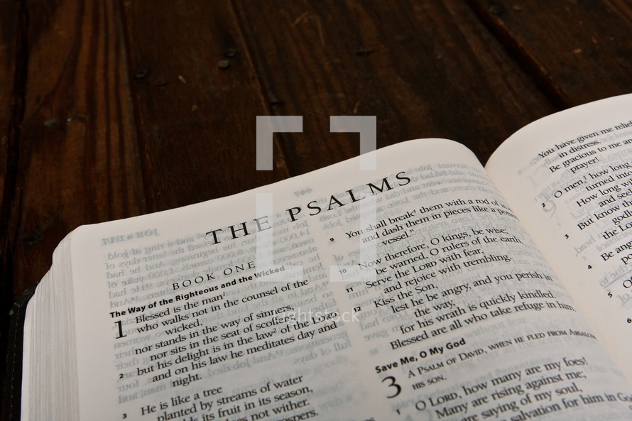Scripture Titles - The Psalms