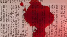 Bible and Blood