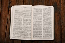 Scripture Titles - Numbers