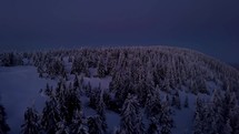 Aerial view of dark snowy forest in cold winter moonlight night nature mysterious