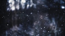 Snow falling over winter background.