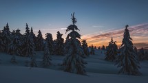 Sunrise in beautiful snowy forest in winter season peaceful morning nature landscape scenery Time lapse
