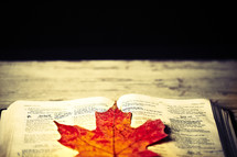 An orange leaf lying on an open bible
