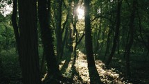 Girl walking towards the sunlight