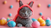 Cute cat wearing bunny ears surrounded by colorful Easter eggs
