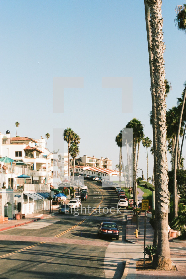 homes along a street lined with palm trees 