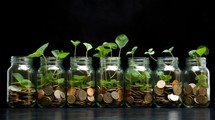 Glass jars with coins and seedlings on black background. Money growing concept