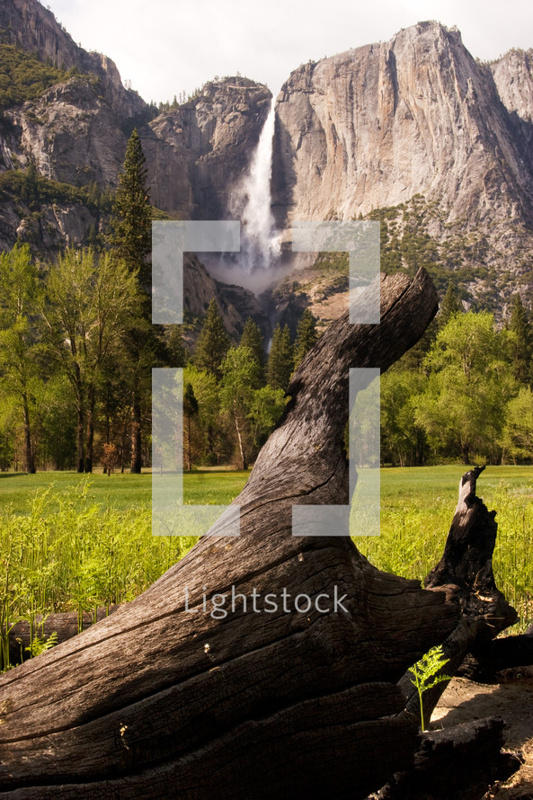 Green field and waterfalls at Yosemite