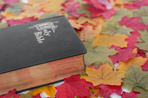 Holy BIble on fall leaves.