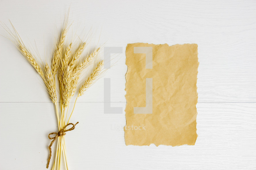wheat and stationary 