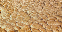 dry desert ground 