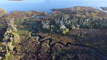 aerial view over Floria swamp 