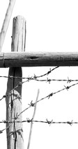 barbed wire on a wooden post 