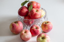 bowl of apples in natural light