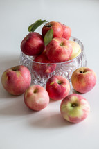 bowl of apples in natural light