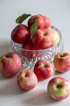 bowl of apples in natural light