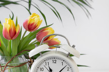 tulips in a vase and alarm clock 