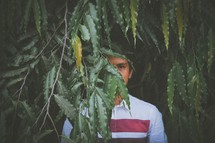 a man peeking from behind leaves on a tree 