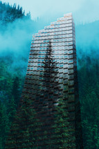 double exposure of trees and city building 