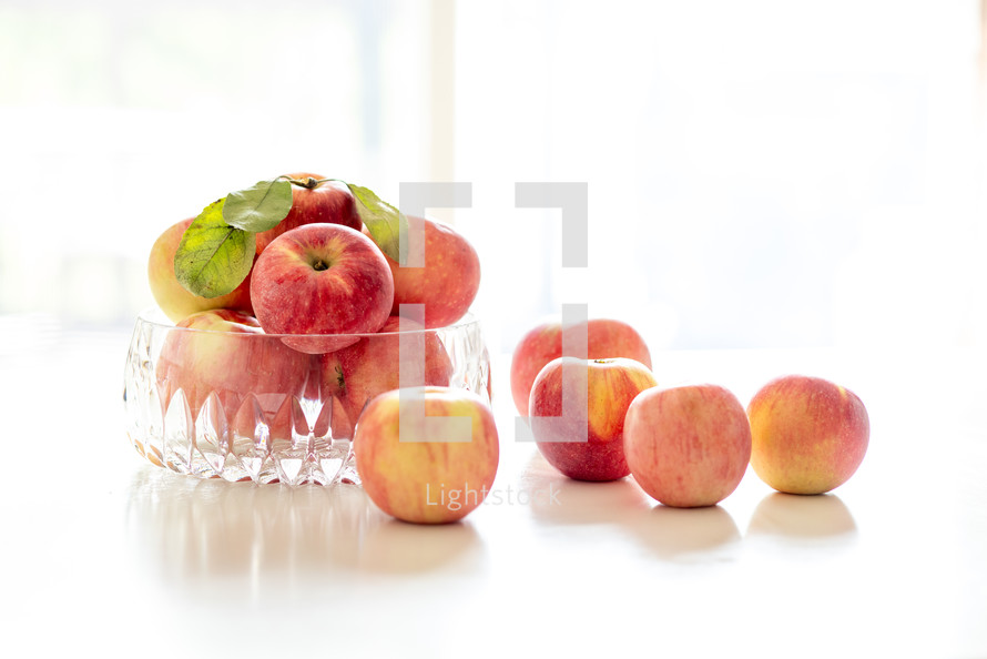 bowl of apples in natural light, backlit