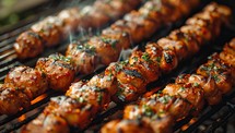  Grilled Chicken Skewers on Barbecue