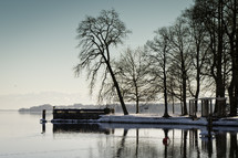 winter trees along a lake shore 