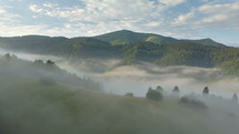 Aerial foggy morning over forest landscape
