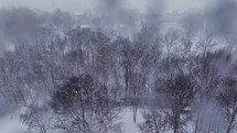Aerial view of the woods during a snowstorm in the wintertime looks dark and ominous.