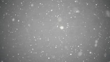 Real snow snowing over gray background in cold winter season
