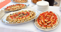Trays with pieces of tomato pizza, omelets and rustic.