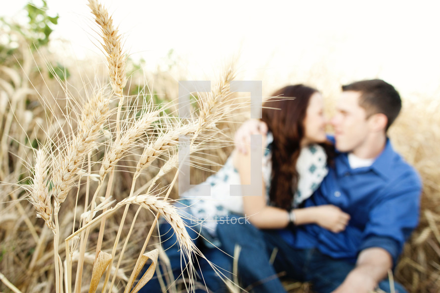 Happy couple outdoors in. A wheat field sitting embracing