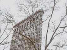 view of the Flat Iron Building through tree branches