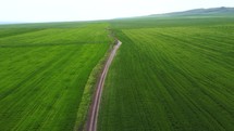 Car driving in field aerial view	