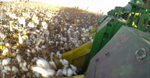 POV shot of a cotton harvesting machine plowing a cotton field. 