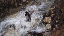 Slow motion of crystal clear mountain stream water flow in forest nature park
