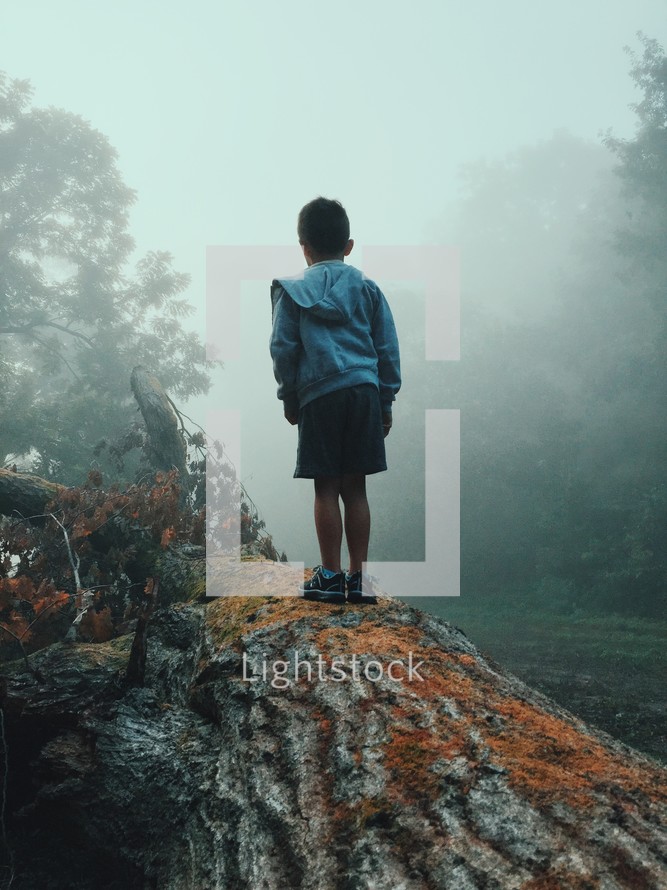 a young boy standing on a fallen tree in a foggy forest 