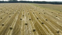 Hay bales on harvested field