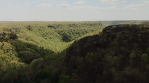 aerial view over a green forest and canyon below 