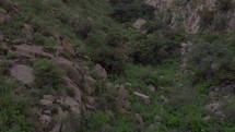 Aerial of a rugged desert gully in a mountain side