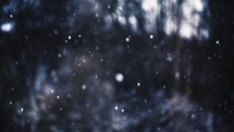 Slow motion of Real snow falls in frozen winter forest background, It is snowing
