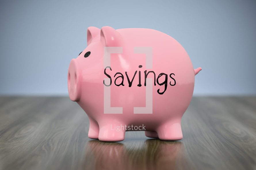 piggy bank with word savings 