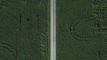 aerial view over corn field in Indiana 