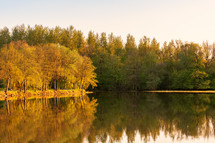 trees reflecting onto lake water 