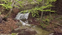 Slow motion over mountain stream flow in sunny spring forest with green trees
