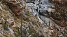 A double waterfall and Saguaro cactus in the Arizona desert