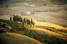 Tuscany hillside 
